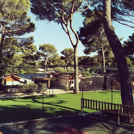 Camping Les Arbouses Mobil 6 A 8 Personnes Climatise Barbecue Terrasse Le Castellet (Var)